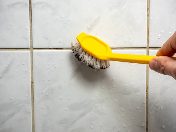 Best Certified Mold Removal  in Norwood Young America, MN