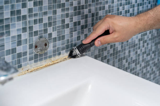 Mold Removal Process in Norwood Young America, MN